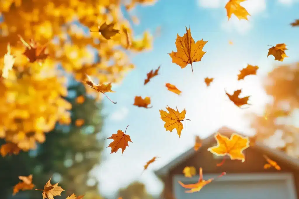autumn leaves falling